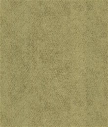 Kravet 31871.11 Baci Moondust Fabric