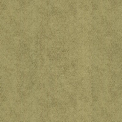 Kravet 31871.11 Baci Moondust Fabric