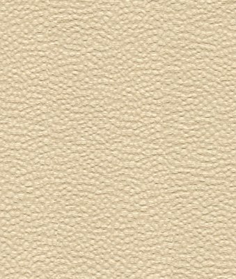 Kravet 31965.1 Whampoa Shell Fabric