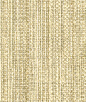 Kravet 31992.1 Impeccable Snow Fabric
