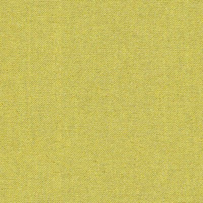 Kravet 32035.3 Ecstatic Lime Fabric