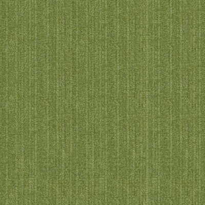 Kravet 32338.3 Siesta Grass Fabric