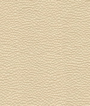 Kravet 32479.1 Nala Shell Fabric