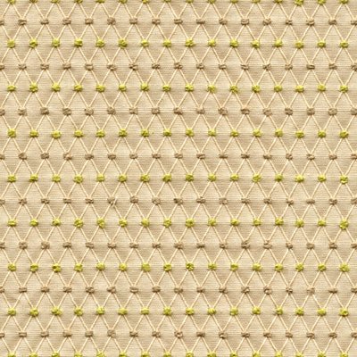 Kravet 32480.316 Budding Petals Anjou Fabric