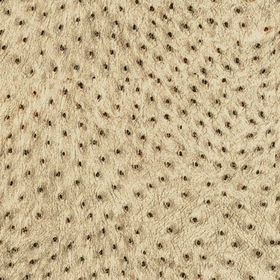 Kravet 32515.416 Animal Allure Copper Fabric