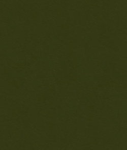Kravet 32565.2111