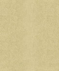 Kravet 32727.4 Chic Shagreen White Gold Fabric