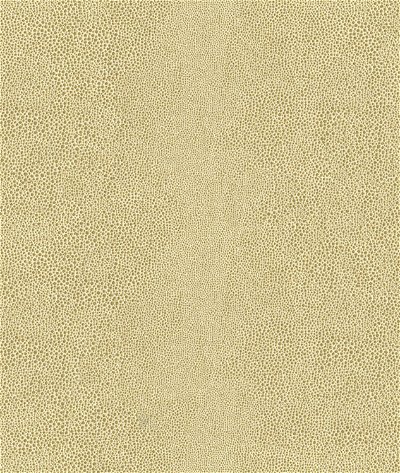 Kravet 32727.4 Chic Shagreen White Gold Fabric