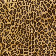 Kravet 32761.640 Savvy Safari Leopard Fabric