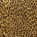Kravet 32761.640 Savvy Safari Leopard Fabric