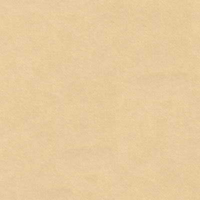 Kravet 32819.116 Muller Stone Fabric