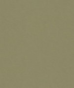 Kravet 32819.11 Muller Nickel