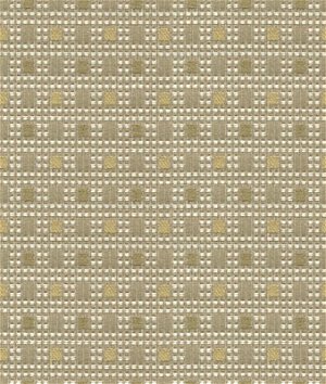 Kravet 32911.106 Check Out Lemongrass Fabric