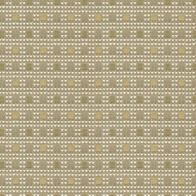 Kravet 32911.106 Check Out Lemongrass Fabric