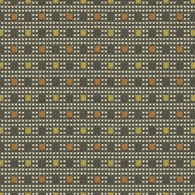 Kravet 32911.421 Check Out Spellbound Fabric