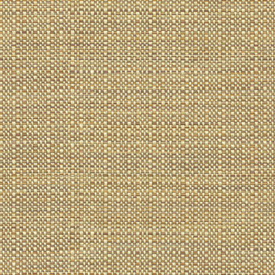 Kravet 32923.616 Elect Moonstone Fabric
