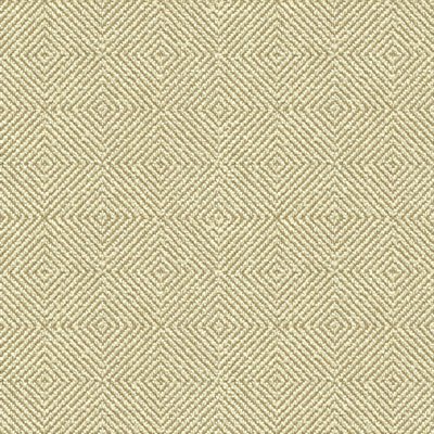 Kravet 32924.116 Fabric