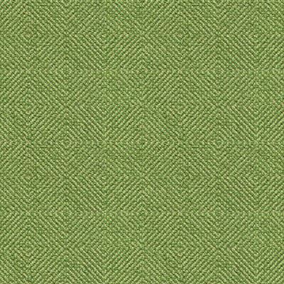 Kravet 32924.3 Fabric