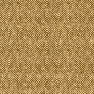 Kravet 32924.666 Fabric
