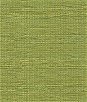 Kravet 32931.3 Cato Grass Fabric