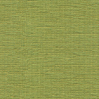 Kravet 32931.3 Cato Grass Fabric