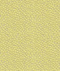 Kravet 32972.323 Polka Dot Plush Wasabi Fabric