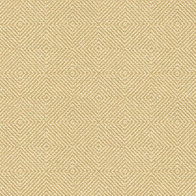 Kravet 33002.1116 Fabric