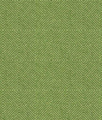 Kravet 33002.3 Fabric
