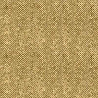 Kravet 33002.411 Fabric