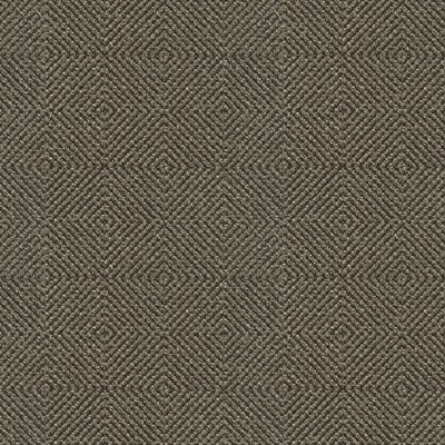 Kravet 33002.811 Fabric