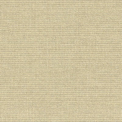 Kravet 33027.116 Fabric