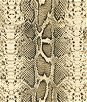 Kravet 33064.816 Lizard Chic Anthracite Fabric