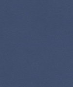 Kravet 33093.555 Microsuede Patriot