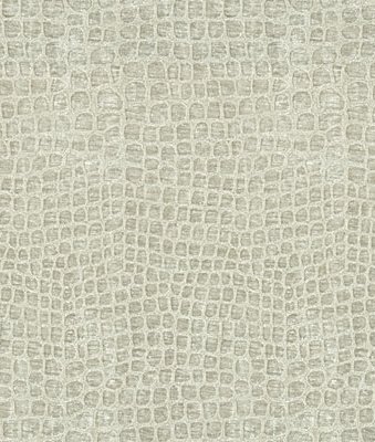 Kravet 33107.11 Finnian Silver Lining Fabric