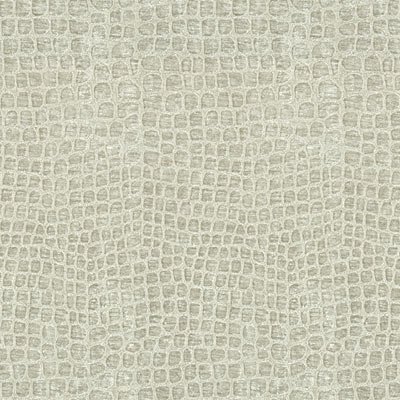 Kravet 33107.11 Finnian Silver Lining Fabric
