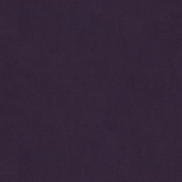 Kravet 33125.101 Fabric