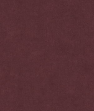 Kravet 33125.110 Fabric