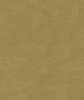 Kravet 33125.1616 Fabric
