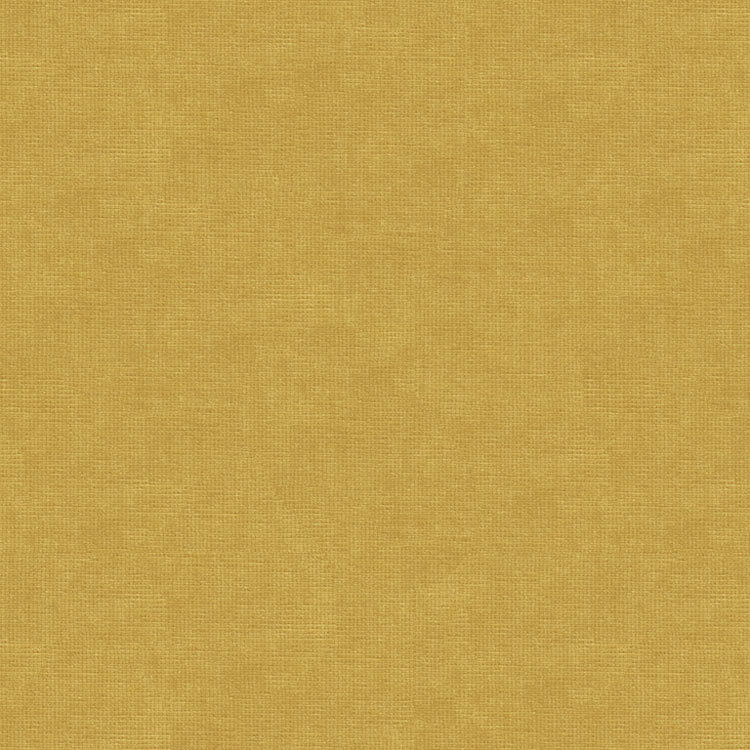 Kravet 33125.40 Fabric