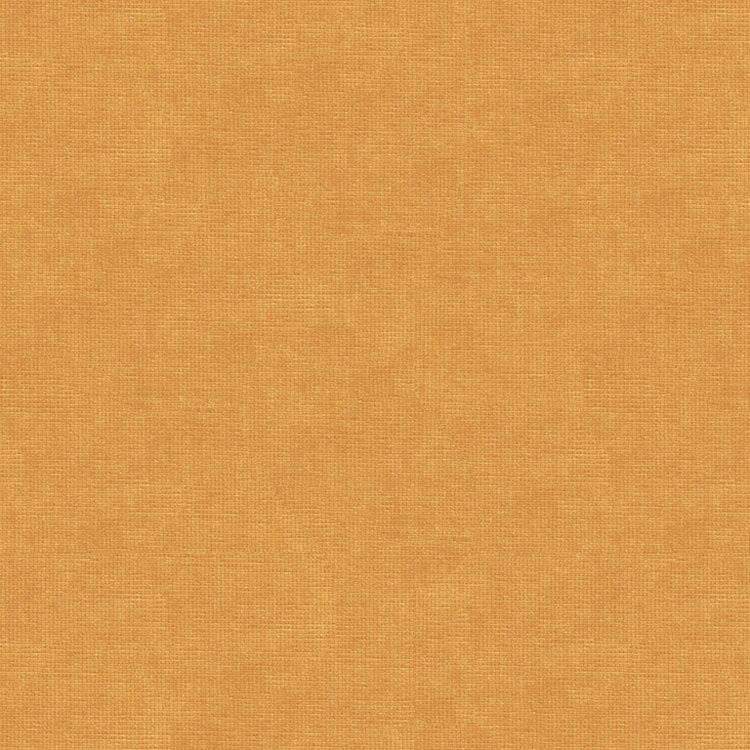 Kravet 33125.4 Fabric