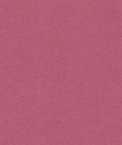 Kravet 33127.110 Fabric