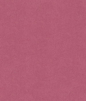 Kravet 33127.110 Fabric