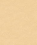 Kravet 33127.111 Fabric