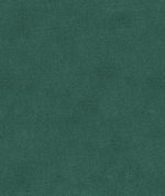 Kravet 33299.52