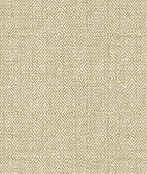 Kravet 33307.16 Fabric