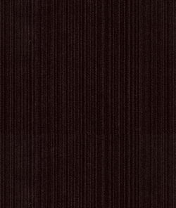 Kravet 33345.101