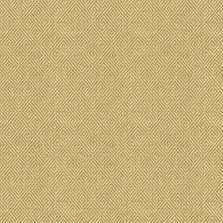 Kravet 33349.1116 Fabric