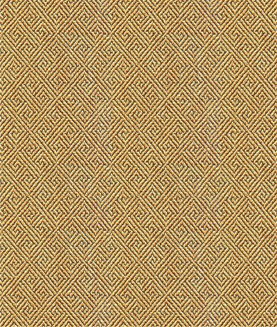Kravet 33349.16 Fabric