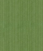 Kravet 33353.13
