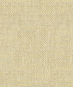 Kravet 33443.411 Do The Hustle Platinum